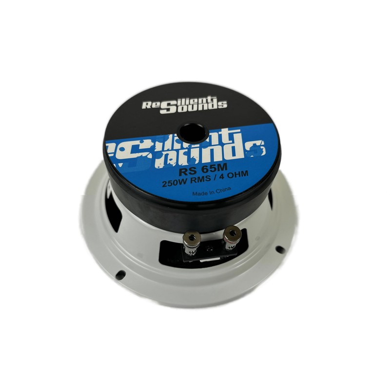 Resilient Sounds RS 65M 250w rms 4ohm 6.5" Speaker