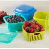 Hutzler 374RD Berry Keeper Box, 1 Quart, Red