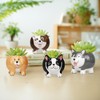 EFISPSS 4PCS Animal Succulent Plant Pots, Mini Doggy Shape Succulent