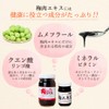 Amorumi Plum Meat Extract (Plum Extract), Kneaded 10.6 oz (300