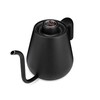 Soma Stainless Steel Gooseneck Coffee & Tea Kettle, Black, 1