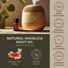 Gya Labs Angelica Root Essential Oil for Diffuser - 0.34