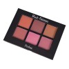 Paleta De Rubores Prolux K-070 Naranja