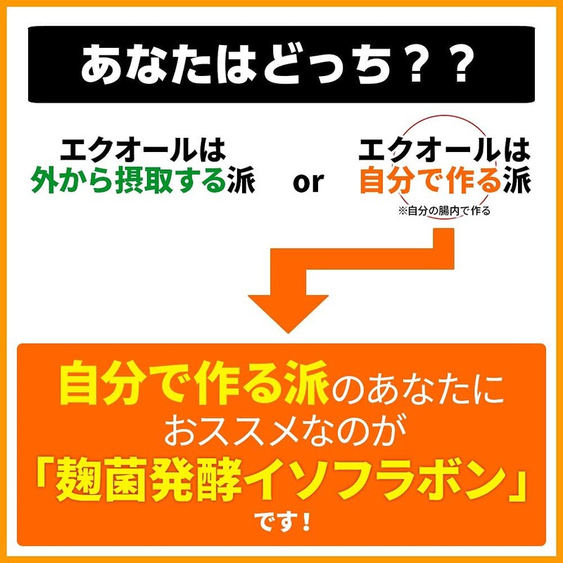 アグリコン型イソフラボン アグリマックス 配合 麹菌発酵イソフラボン 90粒 1日3粒 3袋セット 3ヶ月分 応援 大豆イソフラボン