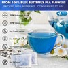 FRESHDRINKUS FreshDrinkUS, Premium 55 Butterfly Pea Tea Bags, 100% Natural
