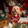 Pack of 2 Christmas Pet Scarf, Christmas Dog Neckerchief, Dog