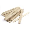 Sargent Art Economy Craft Sticks, Wood 100 Piece, Perfect Wooden