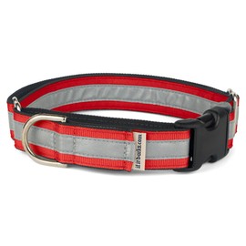 If It Barks 1" Reflective Martingale Collar with Quick Snap Buckle for Dogs, Adjustable, Made in USA,Large, Red