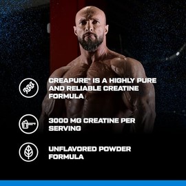Scitec Nutrition Mega Creatine Monohydrate | Creapure® Trademark Formula | 3g creatine per Serving | High Purity and Reliability, 306 g, Unflavoured