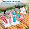 Snackle Box Container with Ice Pack Built In, 8 Compartment