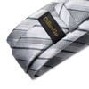 DiBanGu Silk Necktie, Wedding, Pocket Square, Tie Clip, Cufflinks Set,