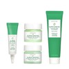 Super Greens Set nutritivo, 4 piezas 2.25 oz