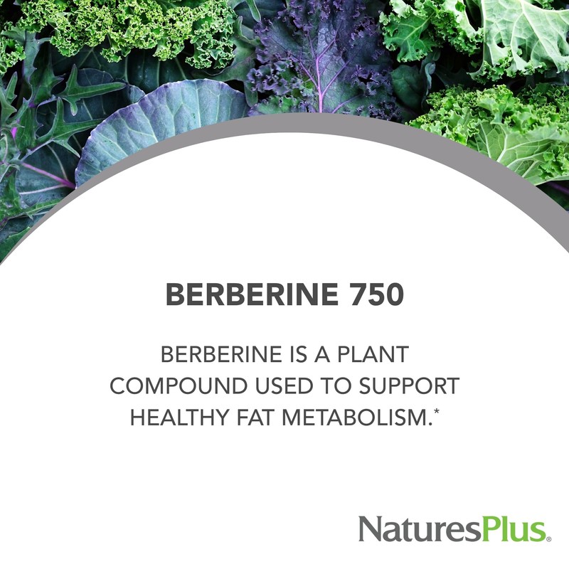 Natures Plus PRO Berberine 750 mg - 60 Capsules -
