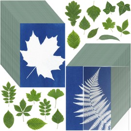 Sun Print Cyanotype Paper Kit, 100 Sheets A6 Cyanotype Papers with 1 Sheet Acrylic Panel, High Sensitive Nature Solar Activated Sun Printing Art Supplies for Arts Crafts DIY Project