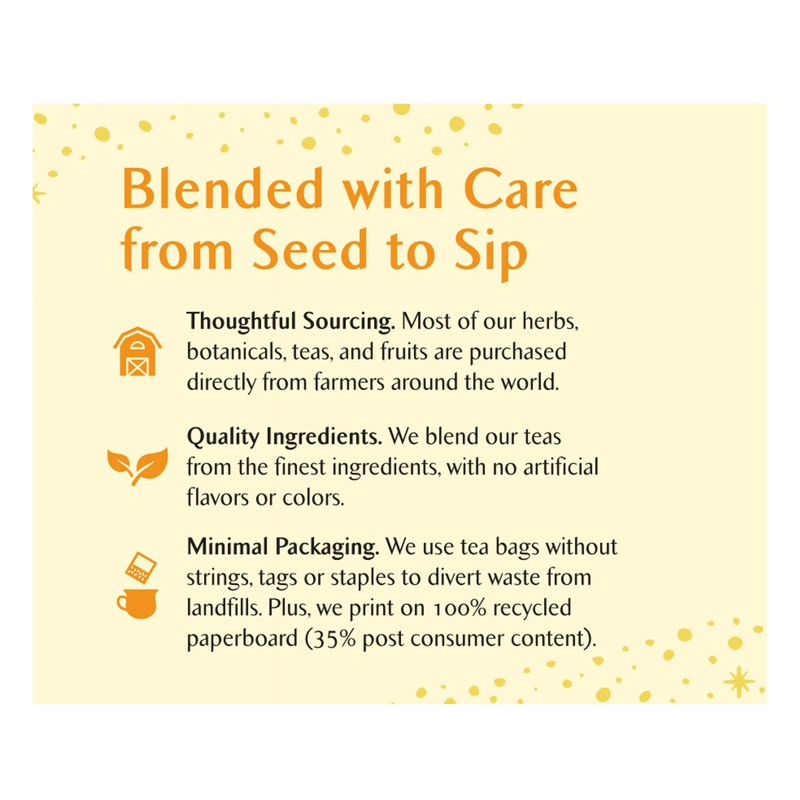 Celestial Seasonings Cinnamon Express Black Tea 20 Tea Bags