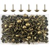 Ruidee 200 PCS Antique Upholstery Tacks,Upholstery Tacks Pins,Furniture Decorative Thumbtacks,Tacks