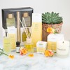 AromaWorks Mandarin & Vetivert Candle 220g
