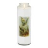 Root Candles 7-Day Clear Glass Devotional Prayer Candle, Saint Michael