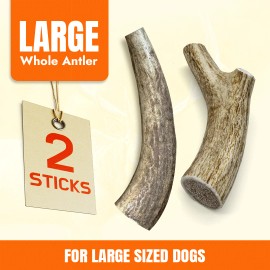 Tibetan Dog Chew Whole Elk Antlers for Large dogs – 2pcs,  Premium Grade A Elk Antler Dog Chew
