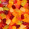 Albanese World's Best Snack Pack,True to Fruit Exotic Fruits Gummies,