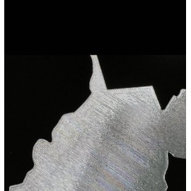 Diamond Etched Products Engraved West Virginia State Car Tag Diamond Etched Aluminum License Plate Gift