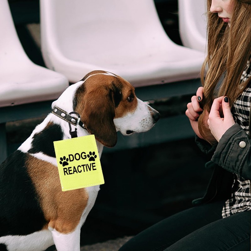 Dog Reactive Alert Hanging Patch Caution Stop Dog Alert Hanging