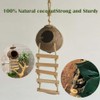 10PCS Crested Gecko Tank Accessories, Reptile Plants Bridge Vines, Coconut