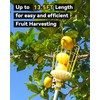 BlumeTrec 6.5FT Fruit Picker, Apple Picker Tool with Adjustable Pole