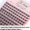 Fenshine Cluster Lashes, Individual Eyelashes, D Curl, 9-15 mm Length,