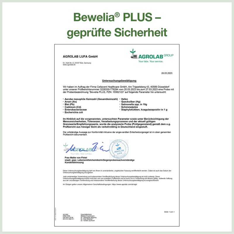 Frankincense capsules from Bewelia Plus with 600 mg & 250