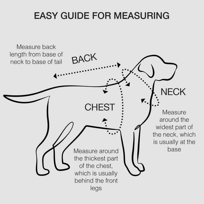 Ittokis 4 Pack Dog Cooling Vest Lightweight Dog Cooler Breathable