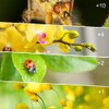 Yangers DSLR Camera Close-up Macro Lens Filter Kit Set (+