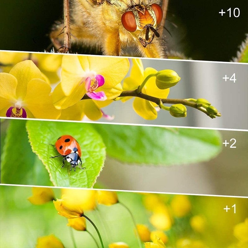 Yangers DSLR Camera Close-up Macro Lens Filter Kit Set (+