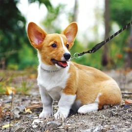 Silver Chain Collar for Dogs,Metal Slip Link Martingale Dog Collar Training Heavy Duty Male Boys Dog Chain Female Girls Puppy Collars for XXS XS Small Medium Large Big Breed,XS