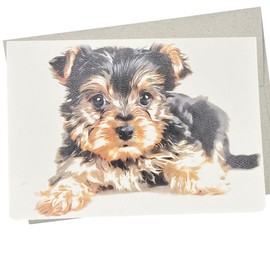 Yorkie Puppy Birthday Card (5X7 Inches and Blank Inside for All Occasions) Cute Yorkshire Terrier on card for Birthday, Anniversary, or Thinking of You - 294