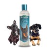 Bio-Groom DBB25012 So Gentle Hypo-Allergenic Dog and Cat Shampoo, 12-Ounce