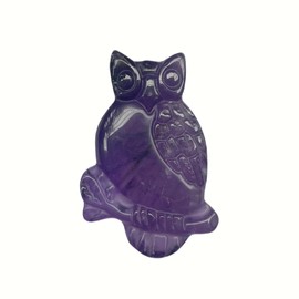 Bacatgem Natural Amethyst Owl Figurines Crystals and Healing Stones,Haped DIY Pendant
