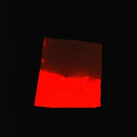 Professional Premium Luminous Powder Very Bright in the Dark Photoluminescent Colour Powder, Glow in the Dark (Green, Blue, Yellow, Purple, Green-Blue, Red, 40 g)