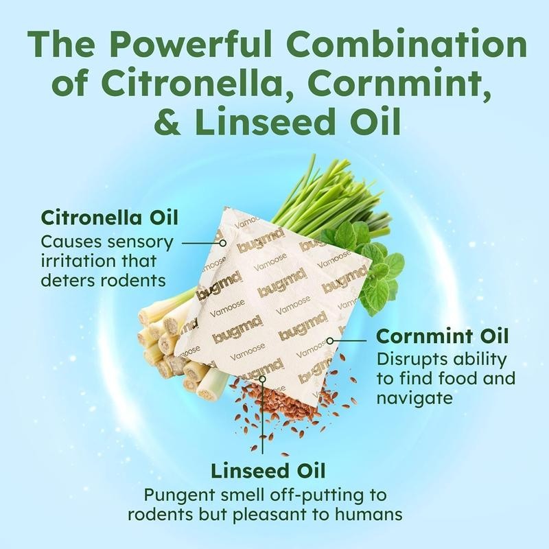 BugMD Vamoose Rodent Repellent â Plant-Powered Mouse & Rat Deterrent