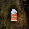 NOW Suplementos, melena de león 500 mg, súper hongo, hecho