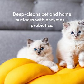 Clean Revolution SuperCharged All Purpose Cleaner Refill with Smart Probiotic + Enzyme Complex, Multi-Surface Kitchen Bathroom & Floor Cleaner, Lemon & Herbs, 18 oz (Pack of 1)