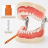 ULTECHNOVO 100piezas Cepillos Interdentales Para Limpieza De Brackets Herramienta De