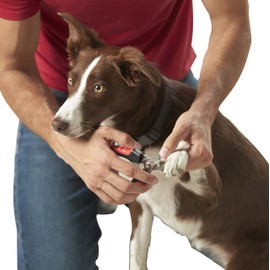 Franklin Pet Supply – Dog & Cat Nail Clippers with Safety Guard – Grooming – Stainless Steel – Professional Grade
