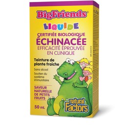 Natural Factors Big Friends KIDS Echinacea Alcohol-Free Fresh Herb Tincture Liquid 50 mL, 1000 mg of Certified Organic Echinacea in Every 1 ml, Natural Berry Flavour, Sugar Free, Proudly Canadian