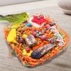Bird Toys for Small & Medium Parrots - Natural Foraging