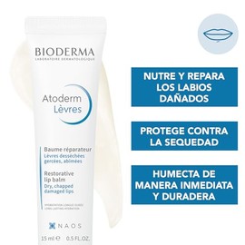 BIODERMA, Atoderm, Bálsamo de Labios, Hidratación Intensa, Skincare Piel Seca a Muy Seca con Tendencia Atópica, 15ML