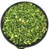 Dried Scallions 2.1oz. Dehydrated Chopped Scallions And Dried Vegetables