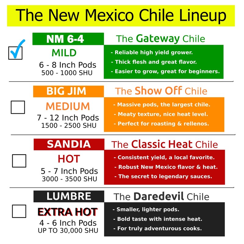 New Mexico 6-4 Chile Seeds from Hatch New Mexico |