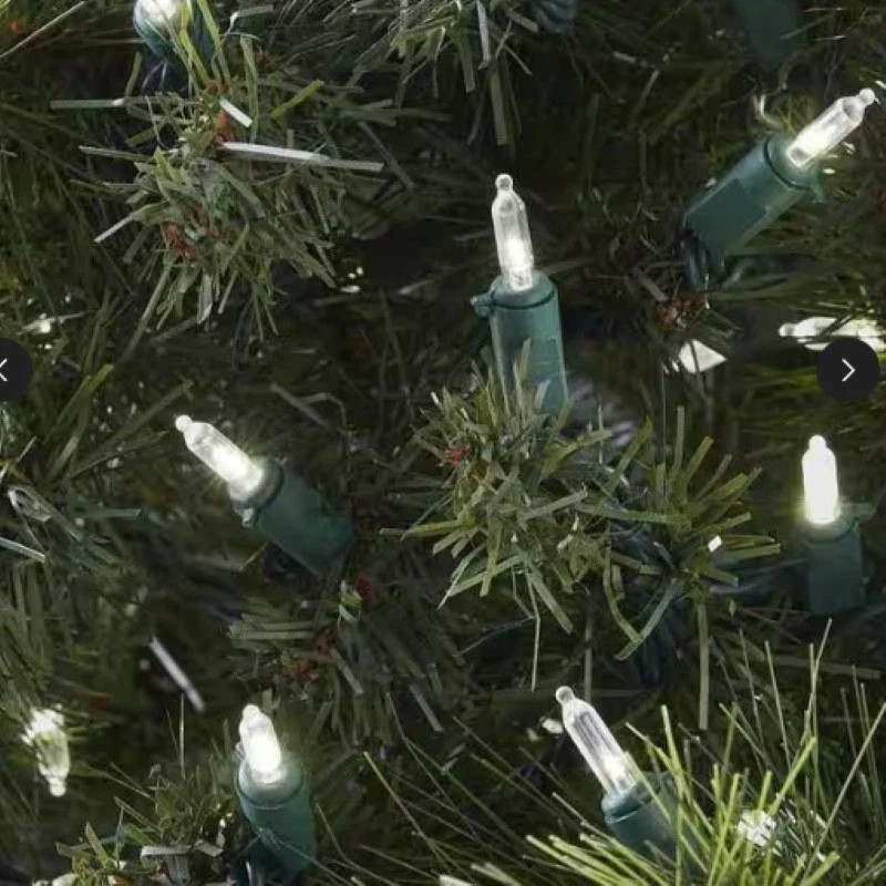 HOME ACCENTS HOLIDAY 1002 493 750 300 WARM WHITE MINI