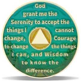 1 Year On Track Sobriety Coin – Journey into Serenity NA Medallion – Spiritual Token for Recovery & Clean Time – Empowering NA AA Chips – Gift for Men & Women